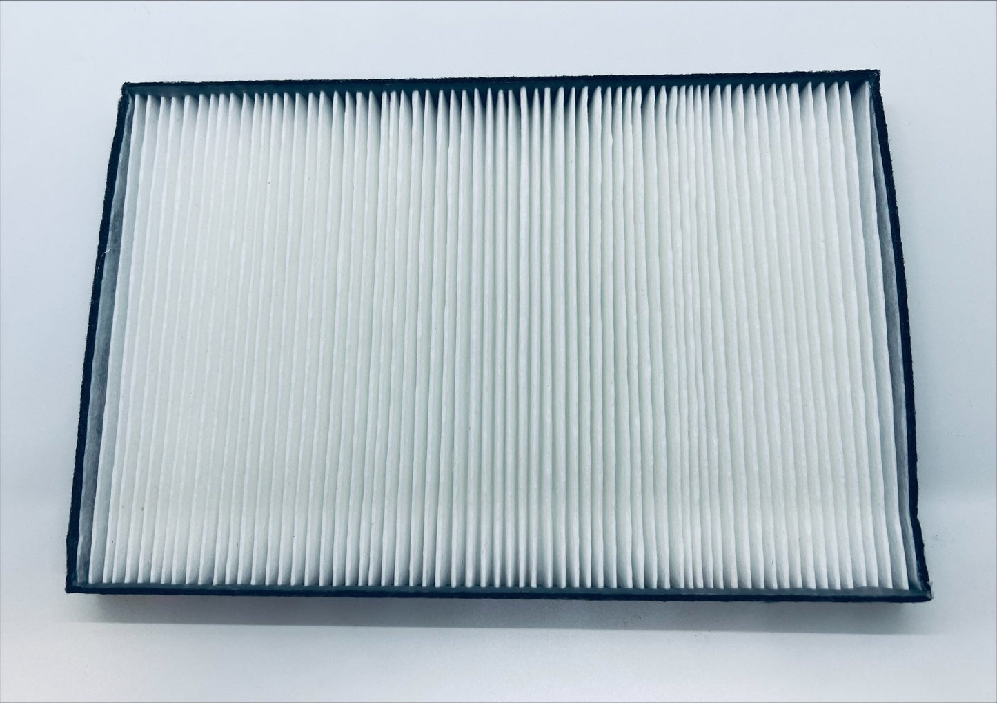 NEC NC1000C-IMS Replacement Projector Air Filter (2 Pk)