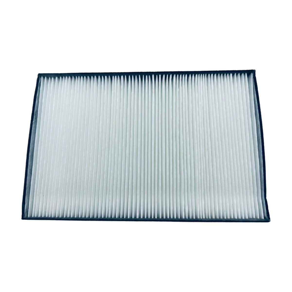 NEC NC1000C-R Replacement Projector Air Filter (2 Pk)