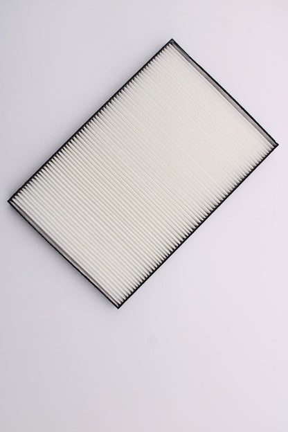 NEC NC900C Replacement Projector Air Filter (2 Pk)