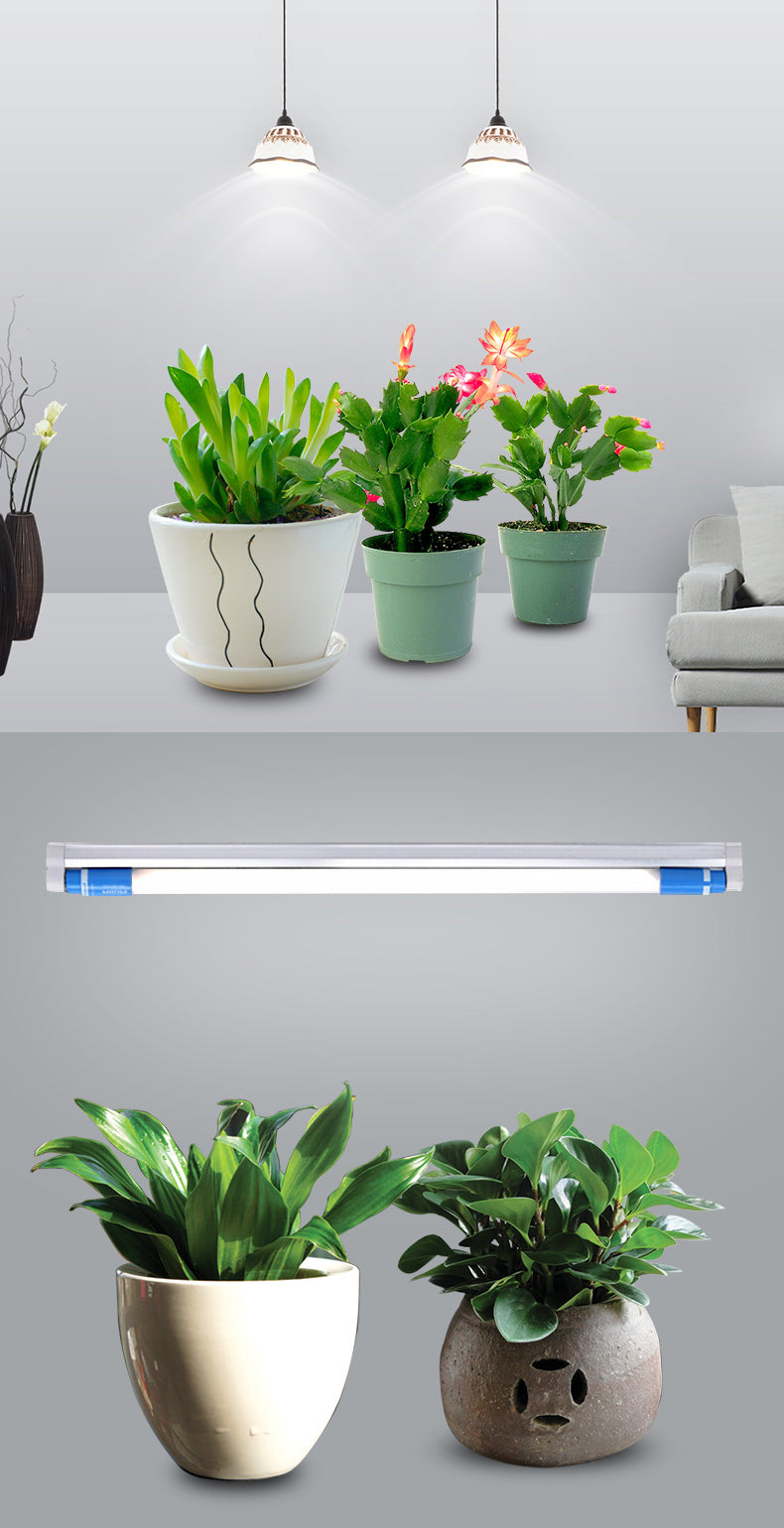 PHILIPS LED Linear G5 Daylight 537944 Tube 24W-54W 24T5 Indoor Grow Lamp