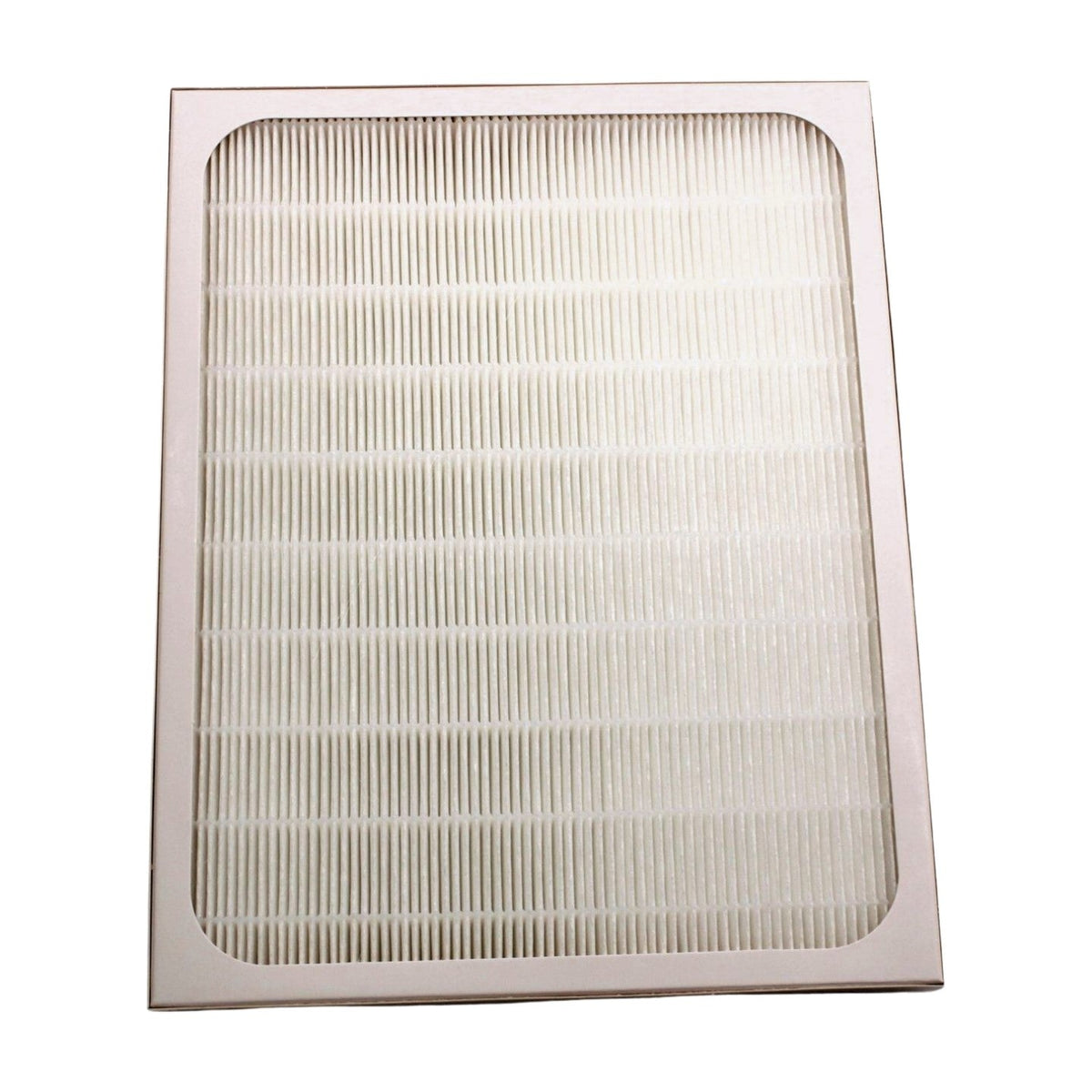 Christie Solaria One Replacement Projector Air Filter