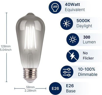 ST19 LED Edison Bulbs - 5000K White Light, Dimmable, Smoky Grey Glass, 4W (40W Equivalent), CRI82+, 300LM, E26 Base, Energy-Efficient Decorative Lighting for Pendant Fixtures - 4 Pack