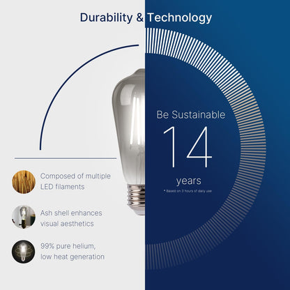 ST19 LED Edison Bulbs - 5000K White Light, Dimmable, Smoky Grey Glass, 4W (40W Equivalent), CRI82+, 300LM, E26 Base, Energy-Efficient Decorative Lighting for Pendant Fixtures - 4 Pack