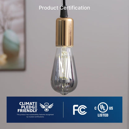 ST19 LED Edison Bulbs - 5000K White Light, Dimmable, Smoky Grey Glass, 4W (40W Equivalent), CRI82+, 300LM, E26 Base, Energy-Efficient Decorative Lighting for Pendant Fixtures - 4 Pack