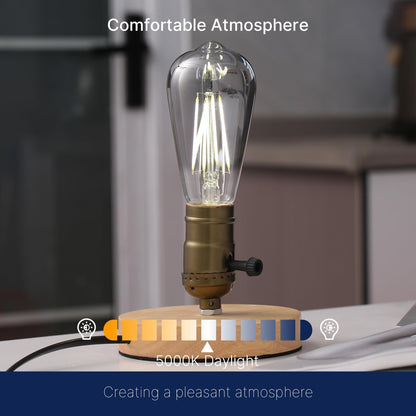 ST19 LED Edison Bulbs - 5000K White Light, Dimmable, Smoky Grey Glass, 4W (40W Equivalent), CRI82+, 300LM, E26 Base, Energy-Efficient Decorative Lighting for Pendant Fixtures - 4 Pack
