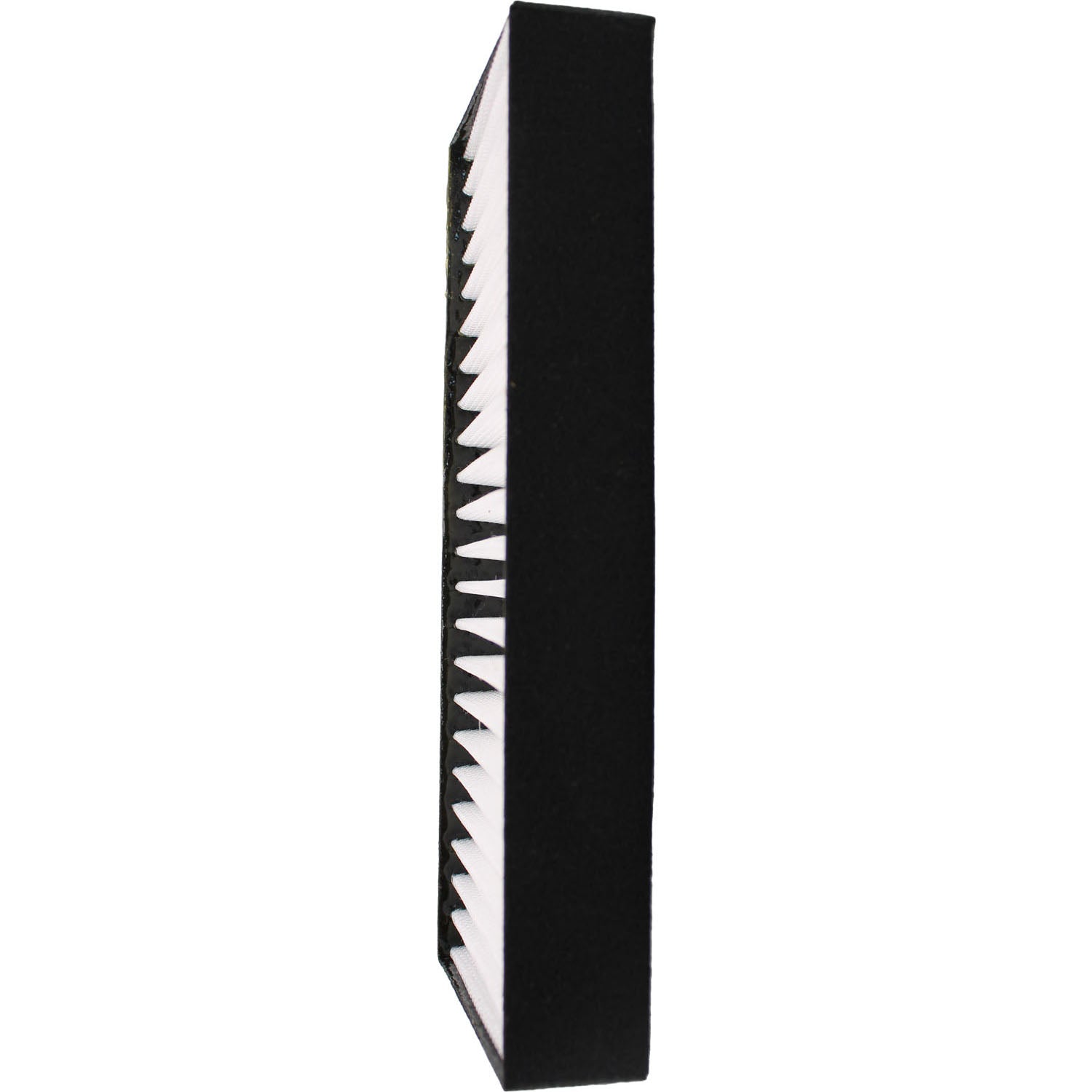 Sony VPL-FHZ55W Replacement Projector Air Filter Panel