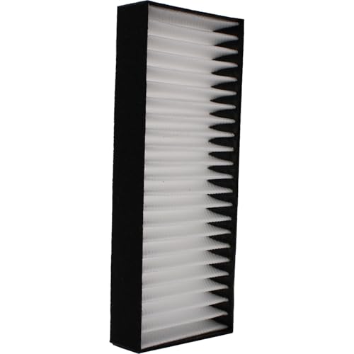 Sony VPL-FHZ55W Replacement Projector Air Filter Panel