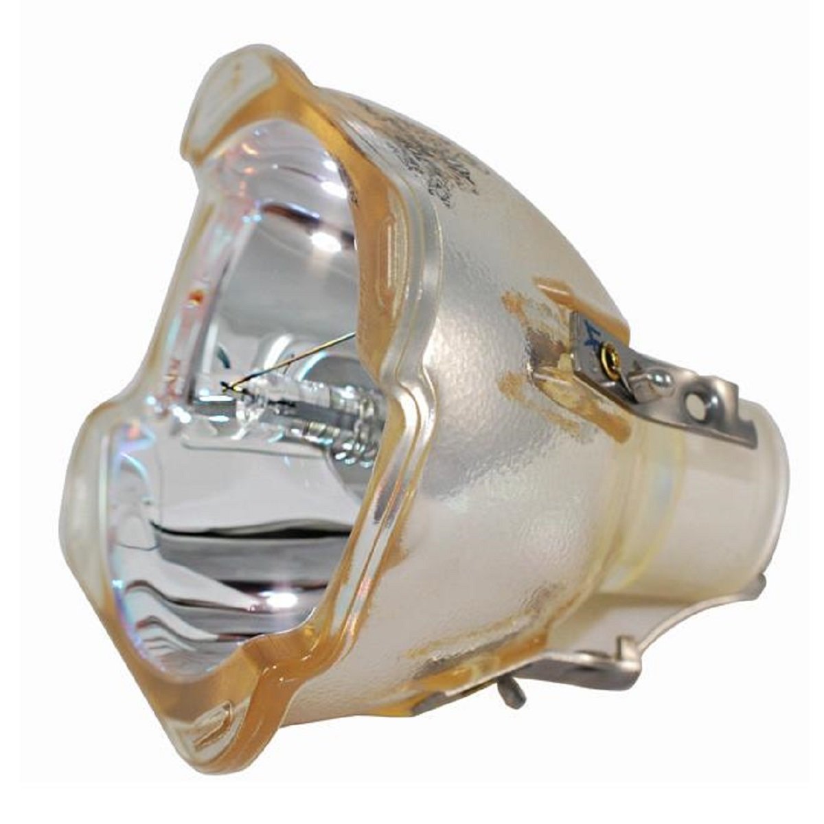 Liesegang Z933796630 Replacement Projector Bulb (Bare Bulb - No Housing)